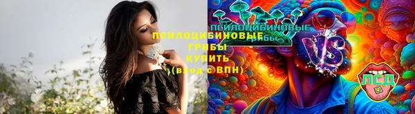 мяу мяу кристалл Козловка