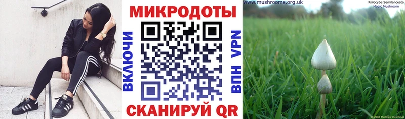 Купить где  Моздок  Галлюциногенные грибы GOLDEN TEACHER 